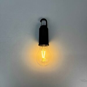 Solar Outdoor Light